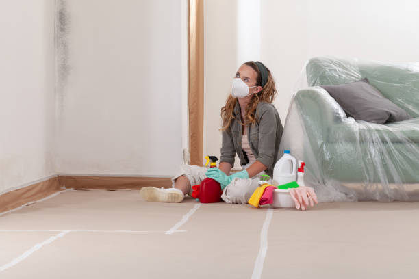 Reliable Attic Mold Removal contractor in Itasca, TX by WQB Mold Removal